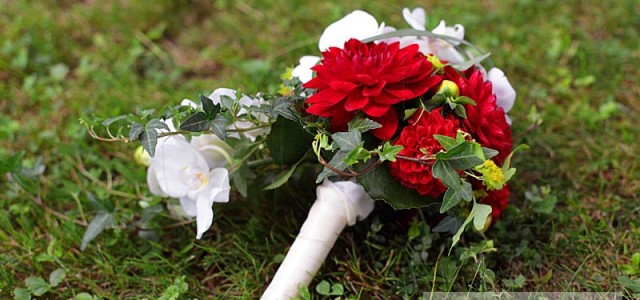 Vem hade trott att Google skulle ta sig an bröllopsbranchen också? Men nu finns Google Weddings för er som ska planera bröllopet i detalj och vill ha en smart bröllopsplanerare...
